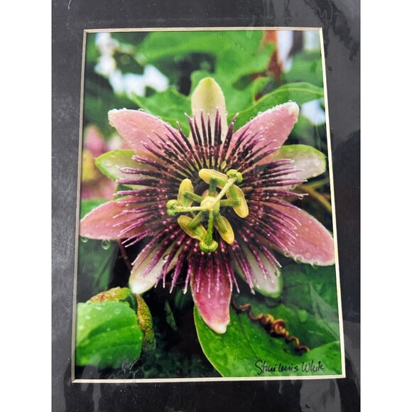 Passion Flower Photography Print – Signed Staci Lewis White - Picture 4 of 4